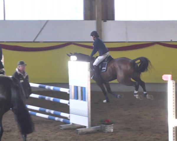 Reitturnier Ellwangen-Röhlingen 2018