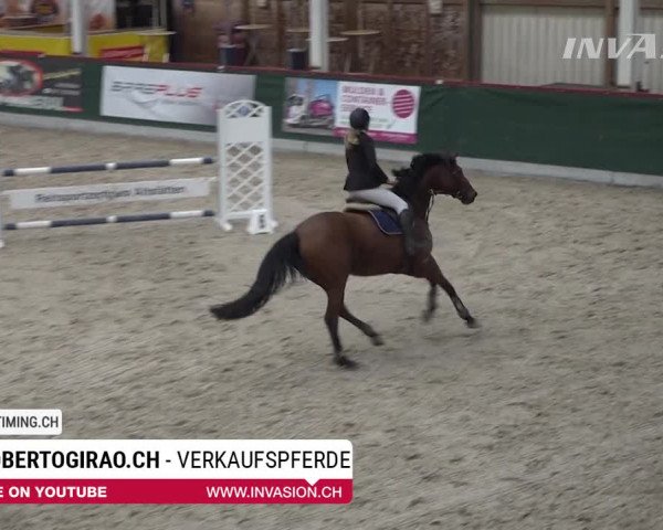 SunDayCup Oberriet 2018