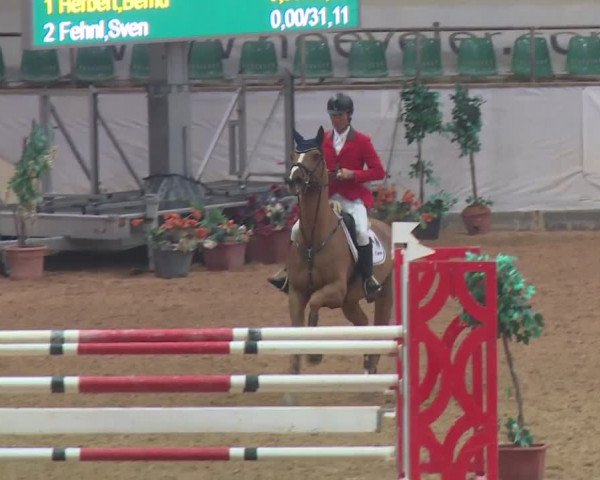 Reitturnier Kreuth 2018