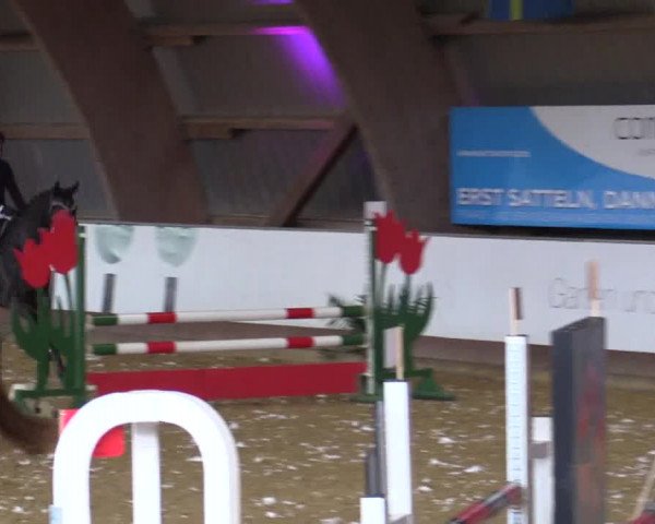 Reitturnier Essen-Stadtwald 2018