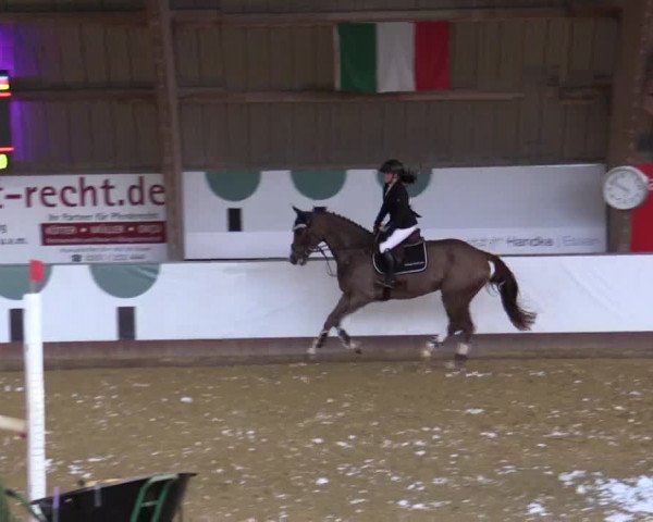 Reitturnier Essen-Stadtwald 2018