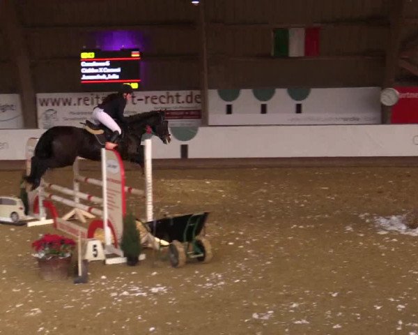 Reitturnier Essen-Stadtwald 2018