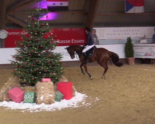Reitturnier Essen-Stadtwald 2018