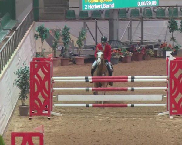 Reitturnier Kreuth 2018