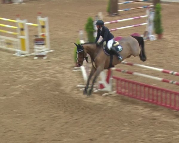 Reitturnier Kreuth 2018