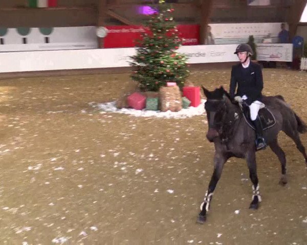 Reitturnier Essen-Stadtwald 2018