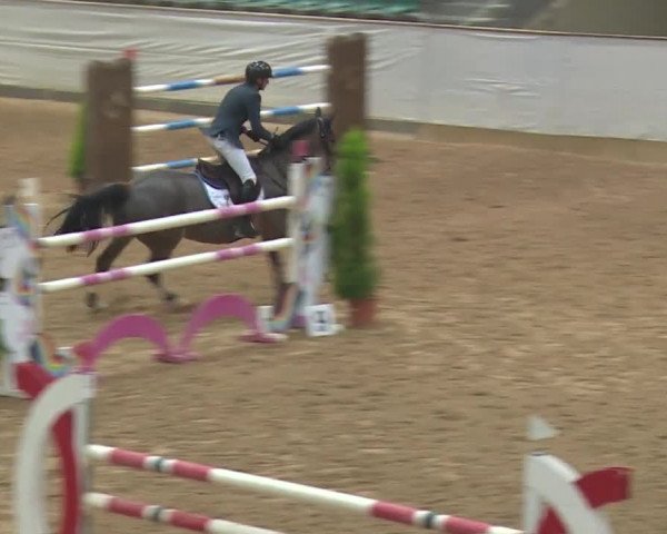 Reitturnier Kreuth 2018