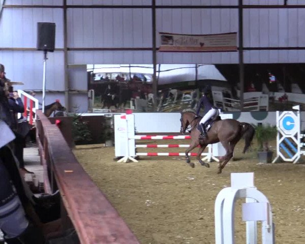 Reitturnier Essen-Stadtwald 2018