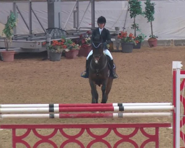 Reitturnier Kreuth 2018