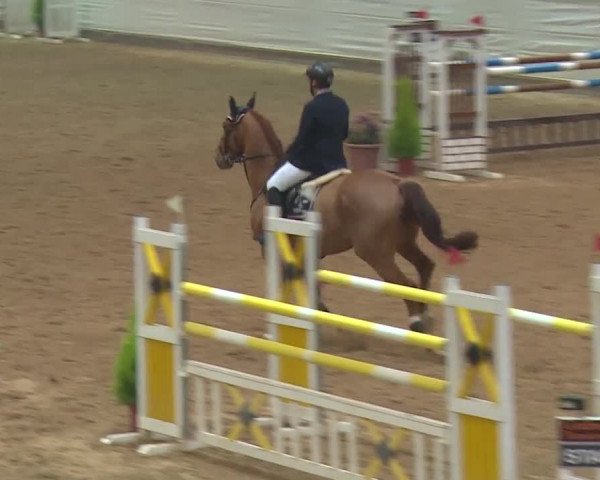Reitturnier Kreuth 2018