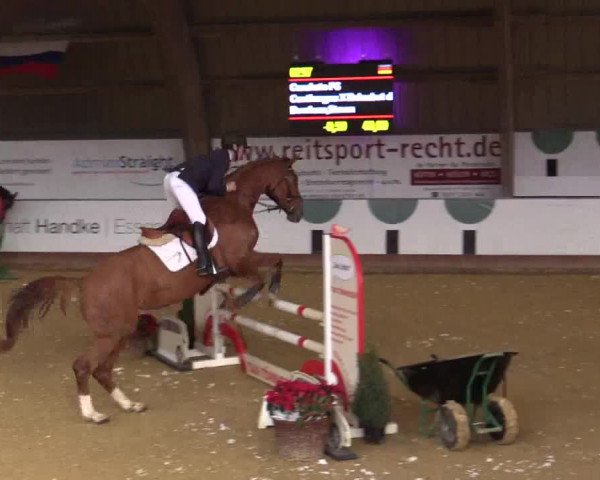 Reitturnier Essen-Stadtwald 2018