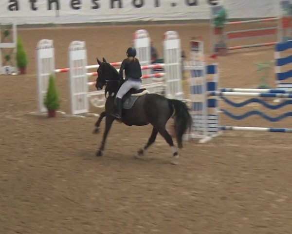 Reitturnier Kreuth 2018