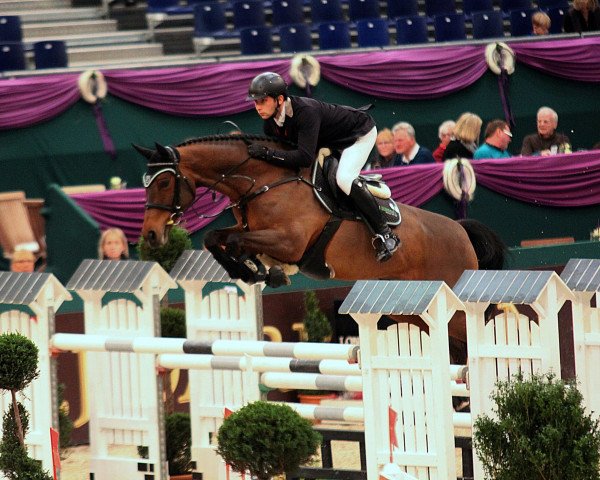 broodmare Alina 465 (KWPN (Royal Dutch Sporthorse), 2005, from Tangelo van de Zuuthoeve)