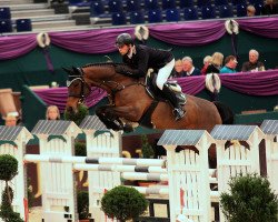 broodmare Alina 465 (KWPN (Royal Dutch Sporthorse), 2005, from Tangelo van de Zuuthoeve)