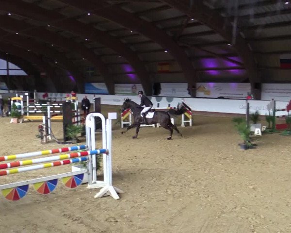 Reitturnier Essen-Stadtwald 2018