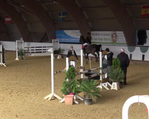 Reitturnier Essen-Stadtwald 2018