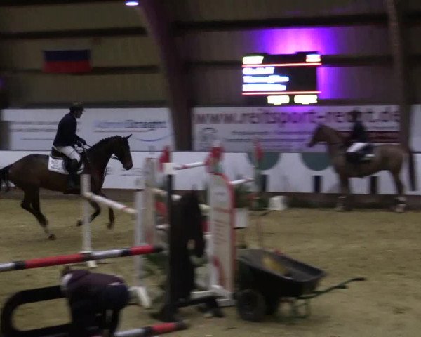 Reitturnier Essen-Stadtwald 2018