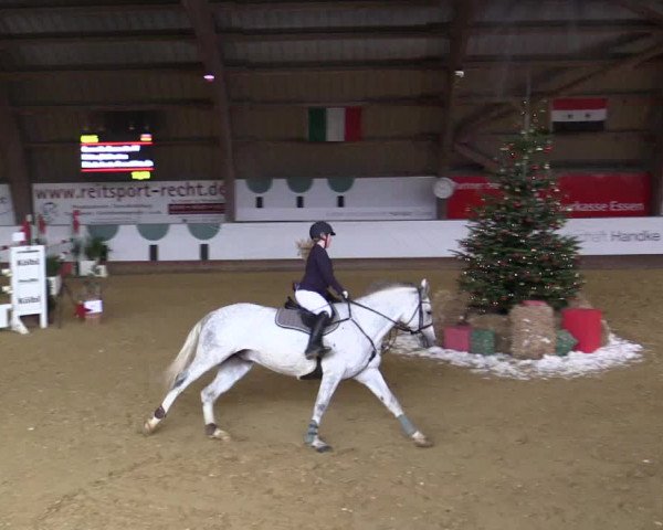 Reitturnier Essen-Stadtwald 2018