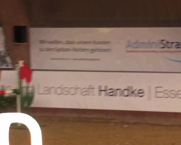 Reitturnier Essen-Stadtwald 2018