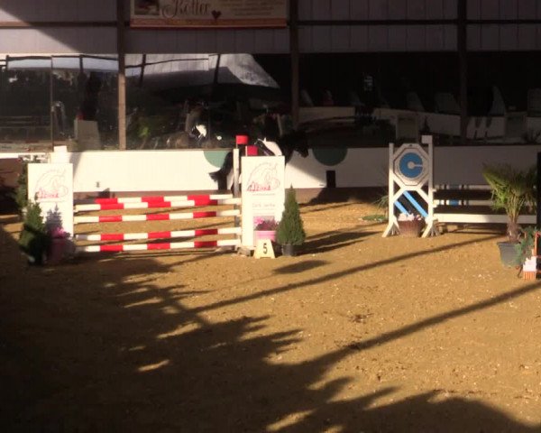 Reitturnier Essen-Stadtwald 2018