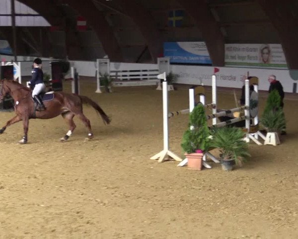 Reitturnier Essen-Stadtwald 2018