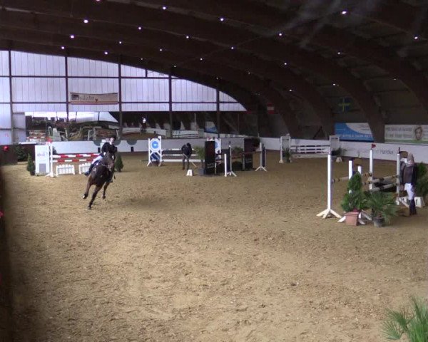 Reitturnier Essen-Stadtwald 2018
