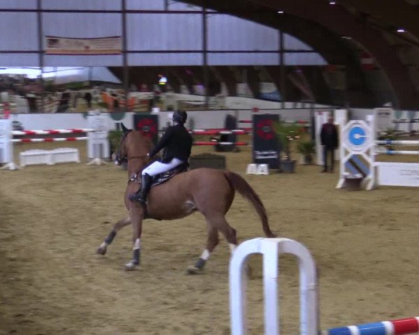Reitturnier Essen-Stadtwald 2018