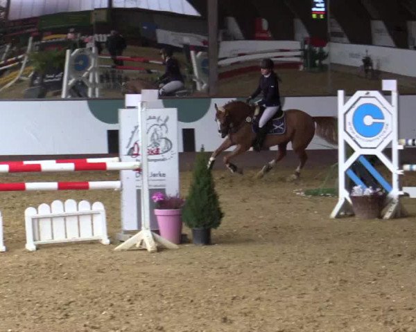 Reitturnier Essen-Stadtwald 2018
