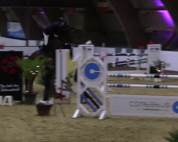 Reitturnier Essen-Stadtwald 2018