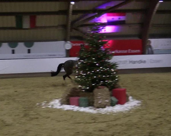 Reitturnier Essen-Stadtwald 2018