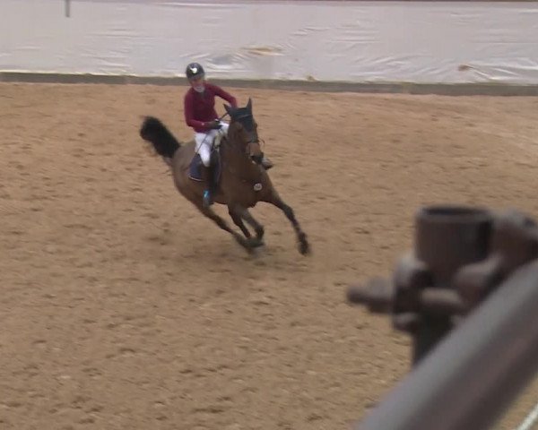 Reitturnier Kreuth 2018