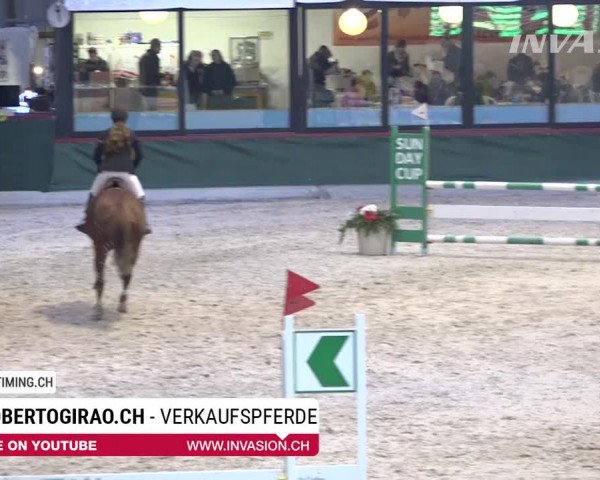 SunDayCup Oberriet 2018