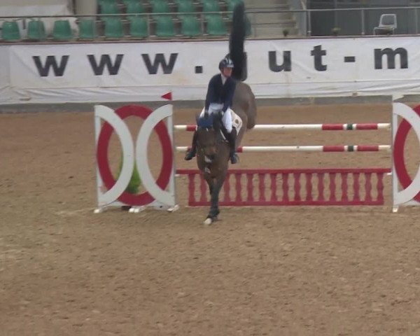 Reitturnier Kreuth 2018