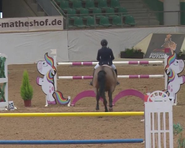 Reitturnier Kreuth 2018