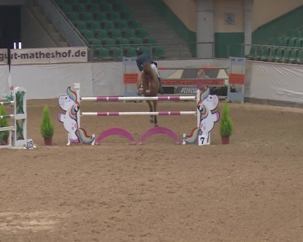 Reitturnier Kreuth 2018