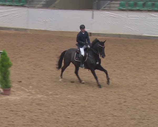 Reitturnier Kreuth 2018
