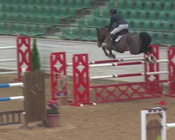 Reitturnier Kreuth 2018