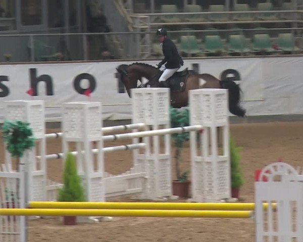 Reitturnier Kreuth 2018