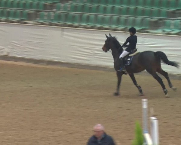 Reitturnier Kreuth 2018