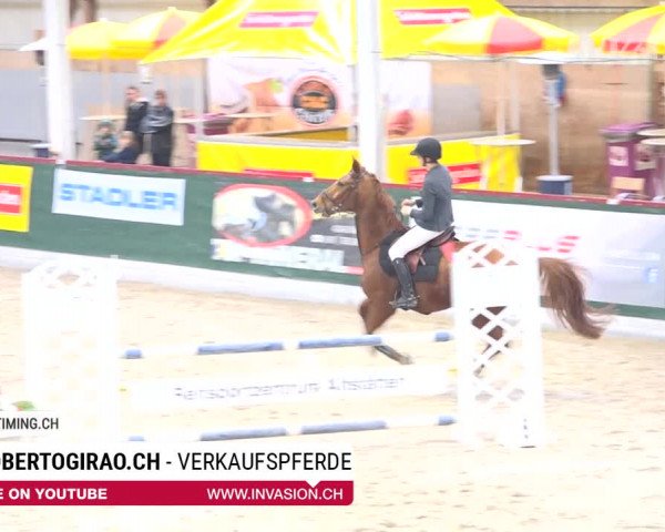 SunDayCup Oberriet 2018
