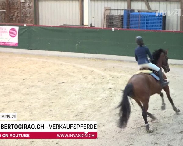 SunDayCup Oberriet 2018