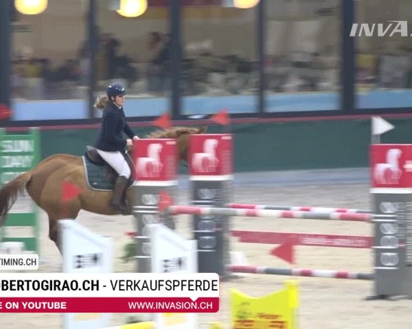 SunDayCup Oberriet 2018