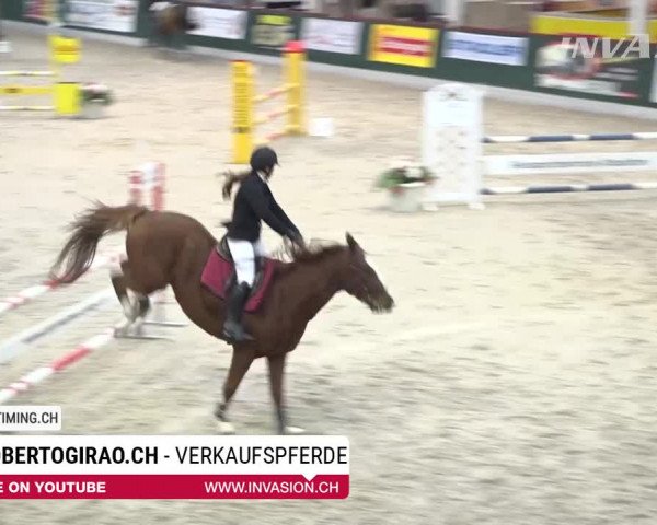 SunDayCup Oberriet 2018