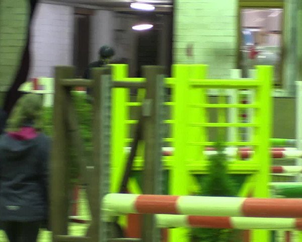 Reitturnier Appelhülsen 2018