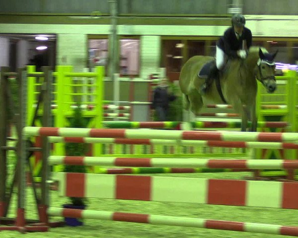 Reitturnier Appelhülsen 2018