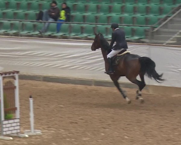 Reitturnier Kreuth 2018