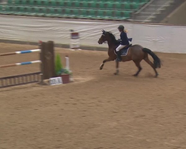 Reitturnier Kreuth 2018