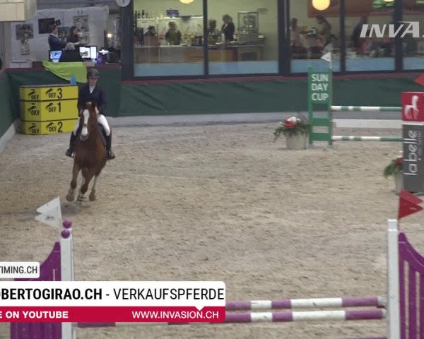 SunDayCup Oberriet 2018