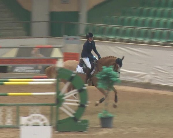 Reitturnier Kreuth 2018