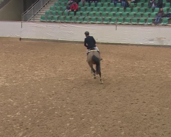 Reitturnier Kreuth 2018